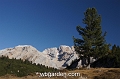 wbgarden alps 109